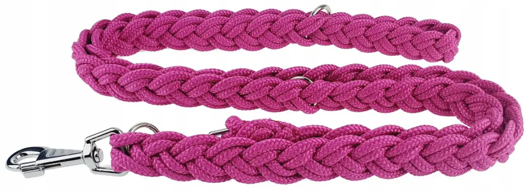 Champion Gevlochten Hondenlijn 2.5m Verstelbaar Roze
