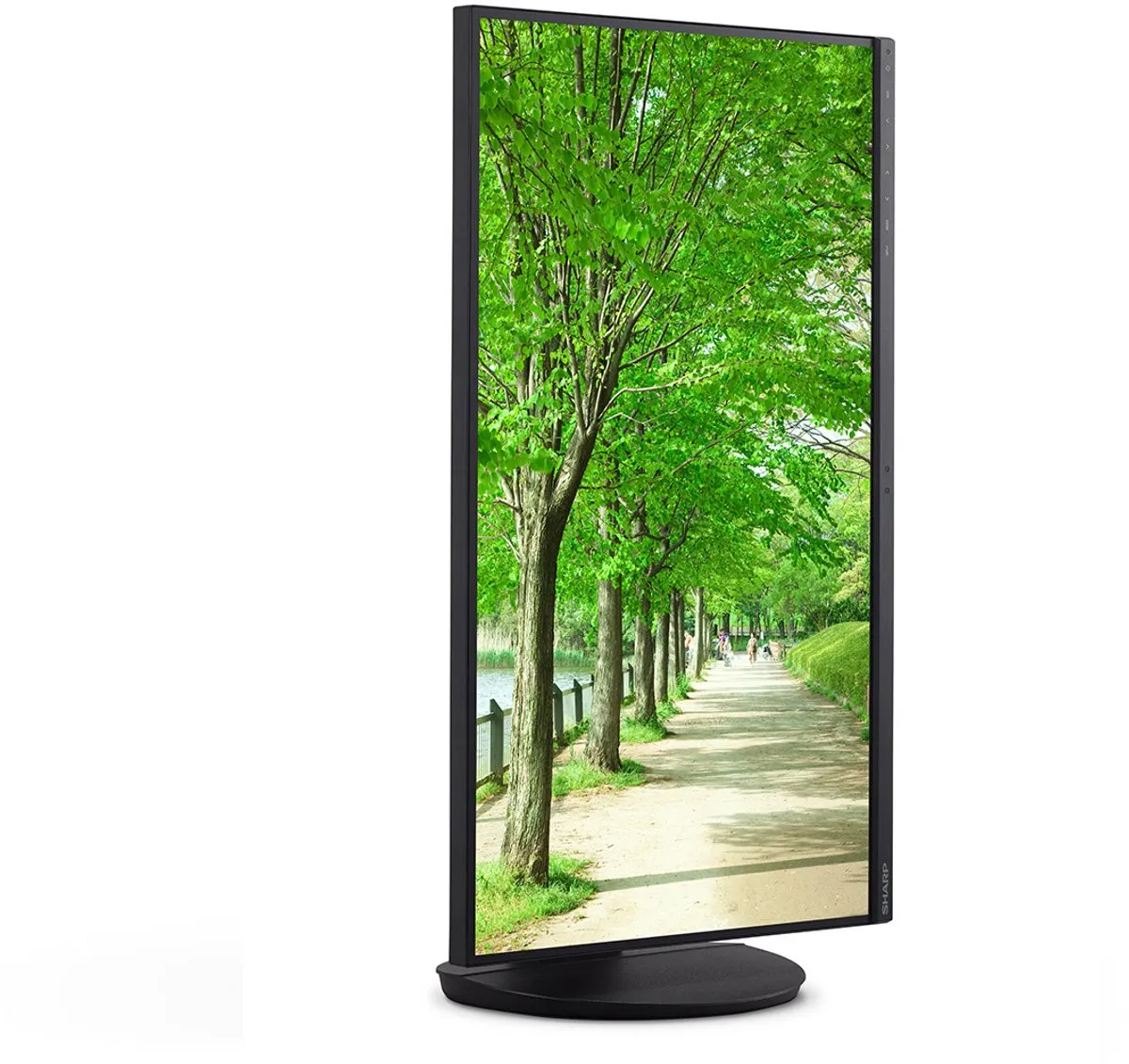 Sharp MultiSync EA272Q 27" 4K LCD Monitor - Zwart - afbeelding 2 van 6