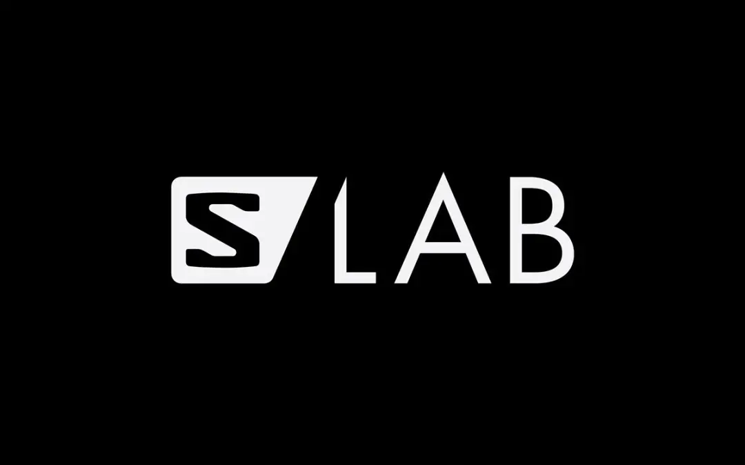 Salomon S/LAB Merino Hardloopsokken 42-44 - Wit