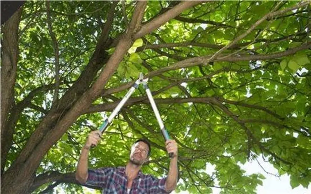 Gardena EasyCut 680 B Takkenschaar & Snoeischaar Set