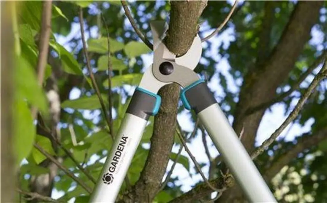 Gardena EasyCut 680 B Takkenschaar & Snoeischaar Set