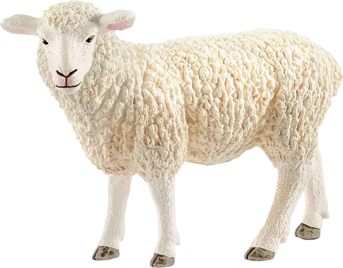 Schleich Schaap 17075