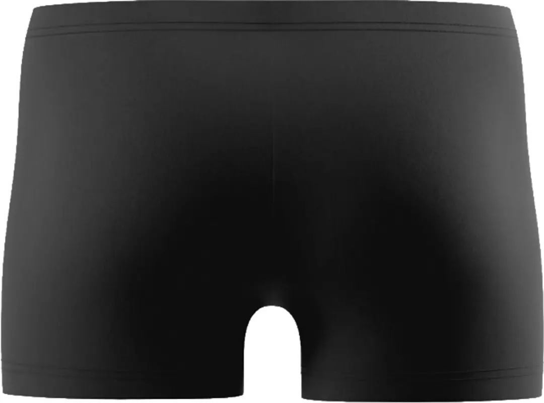 Speedo Medley Logo Aquashort Heren - Zwart/Groen L