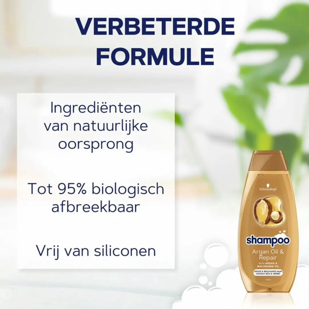 Schwarzkopf Shampoo Argan Oil & Repair 400ml - 24 Stuks