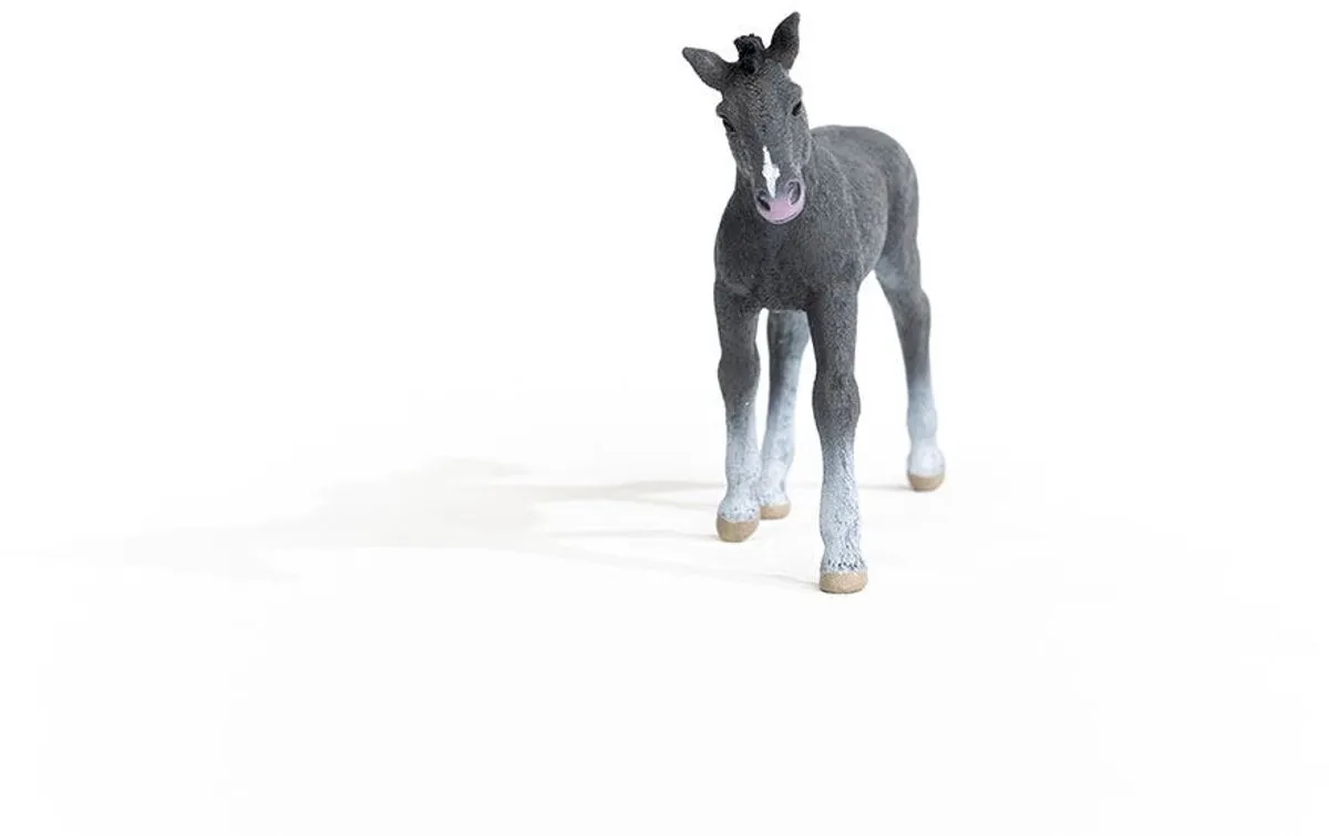Schleich Trakehner Veulen Speelfiguur 13944 - Grijs - afbeelding 6 van 6