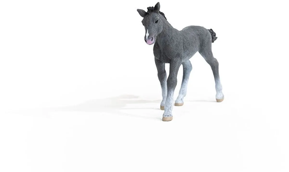 Schleich Trakehner Veulen Speelfiguur 13944 - Grijs