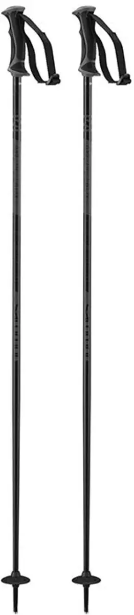 Salomon Arctic Lady Dames Skistok 110cm - Grijs/Zwart