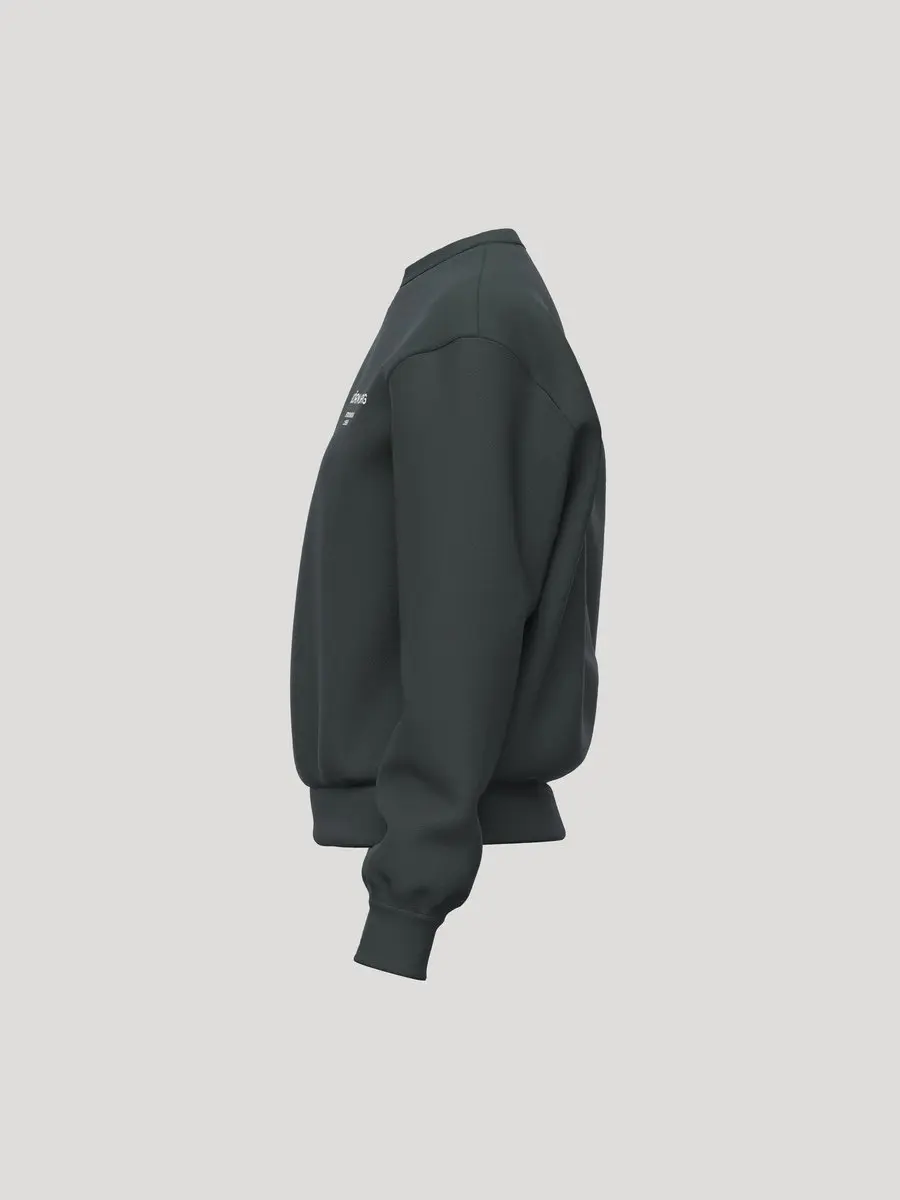 Björn Borg Essential 1 Trui Dames - Urban Chic Groen - XL