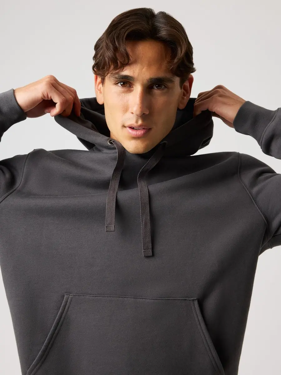 Björn Borg Centre Jogging Hoodie Heren - Asphaltgrijs L