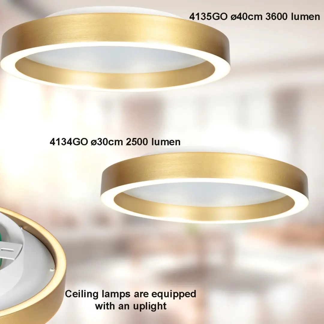 Steinhauer Ringlux 4134GO Plafondlamp - 2x20W 2700K Ø30cm - Goud - afbeelding 5 van 6