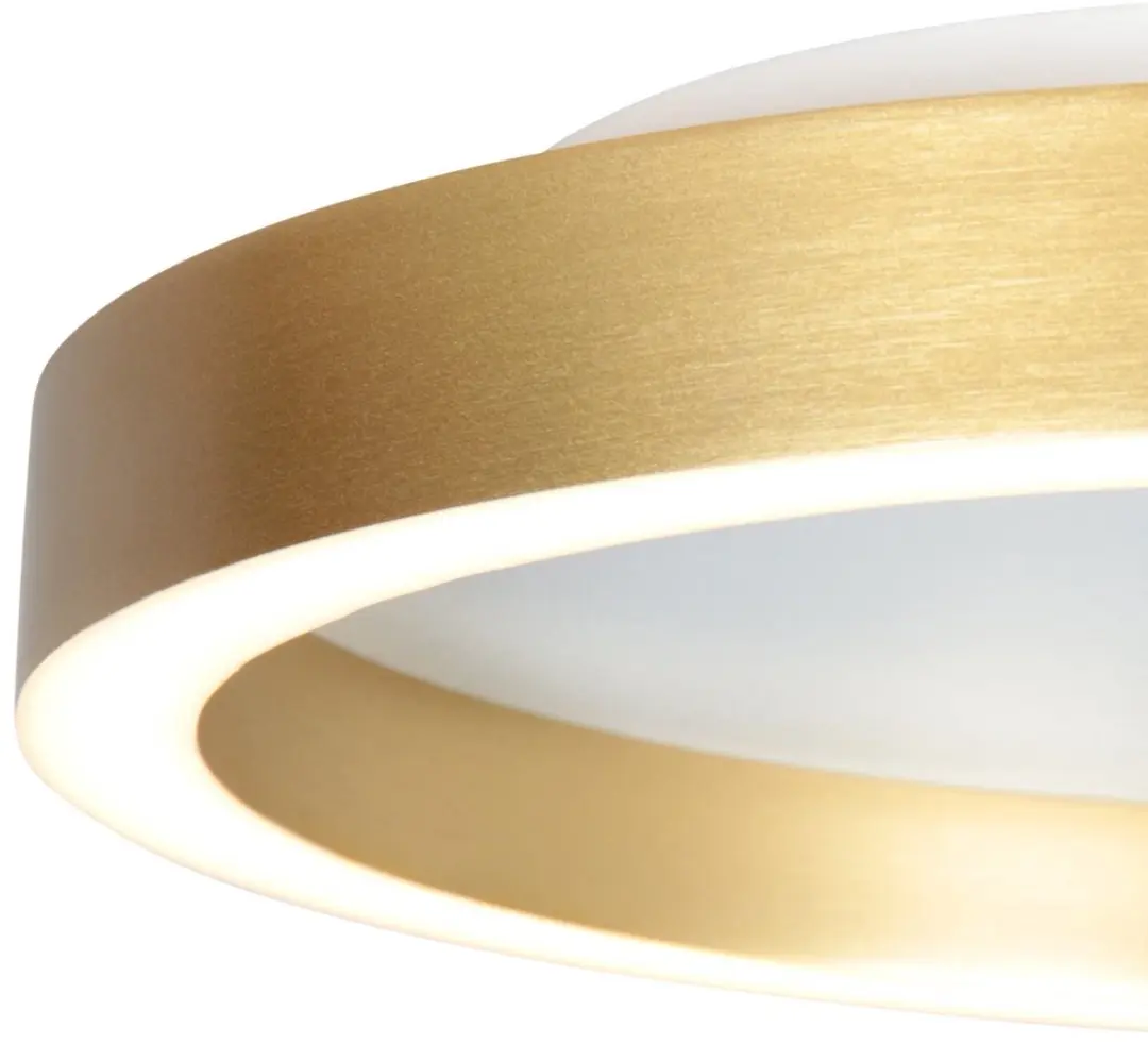 Steinhauer Ringlux 4134GO Plafondlamp - 2x20W 2700K Ø30cm - Goud - afbeelding 4 van 6