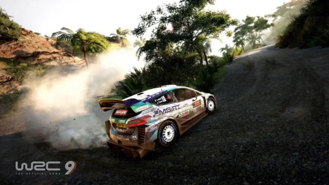 Nacon WRC 9 - 4 Spelers Online