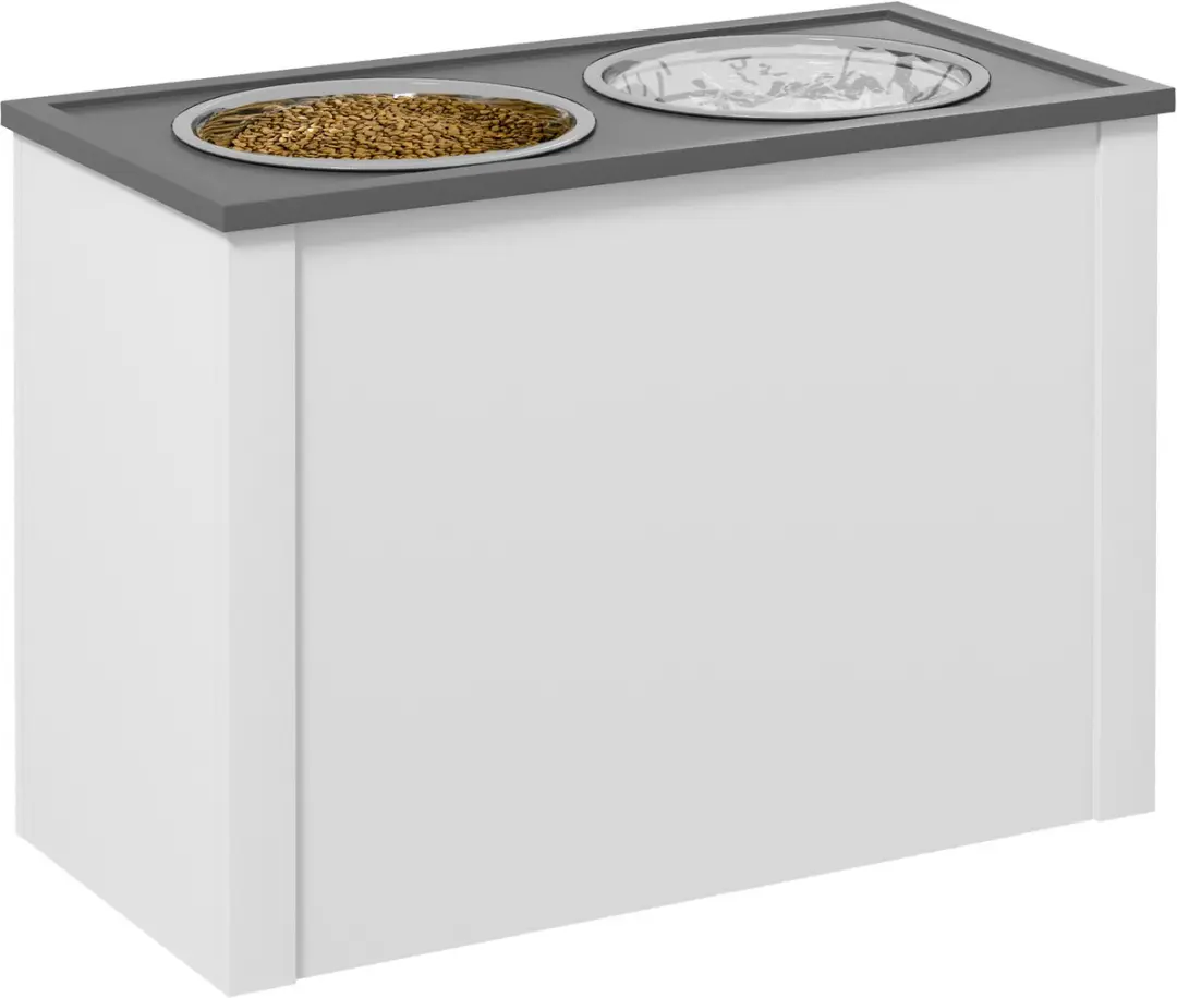 ECTEATOY Hondenvoerbak met Opbergruimte 2 RVS Bakken 60x30x42cm Wit