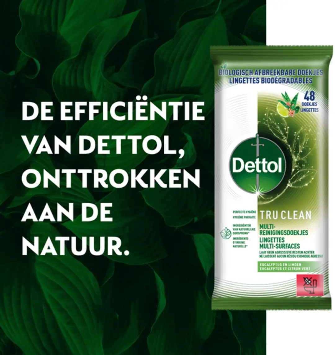Dettol Tru Clean Reinigingsdoekjes Eucalyptus & Lime - 288 Stuks