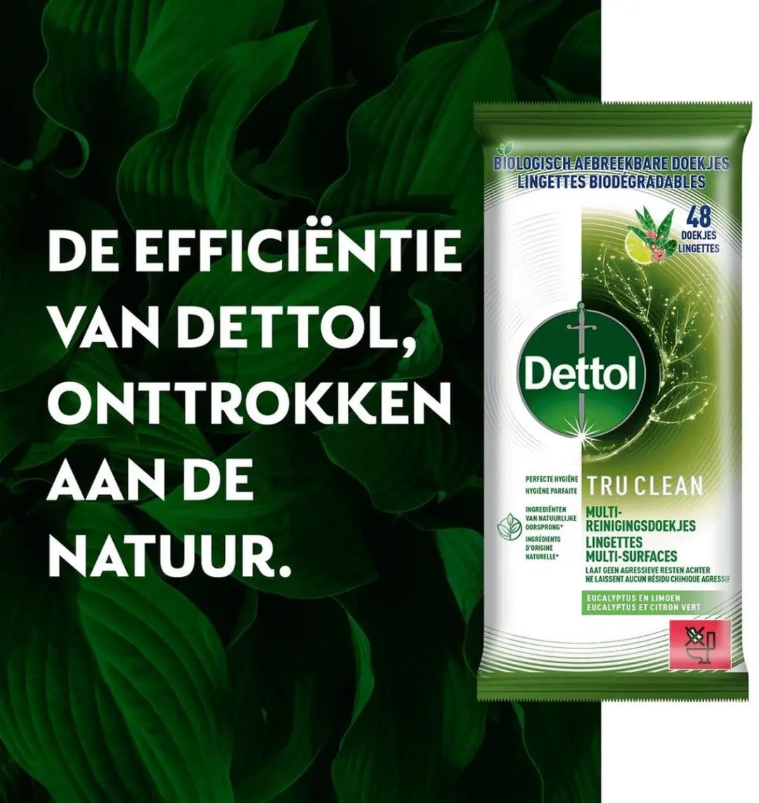 Dettol Tru Clean Reinigingsdoekjes Eucalyptus & Limoen - 48 Stuks