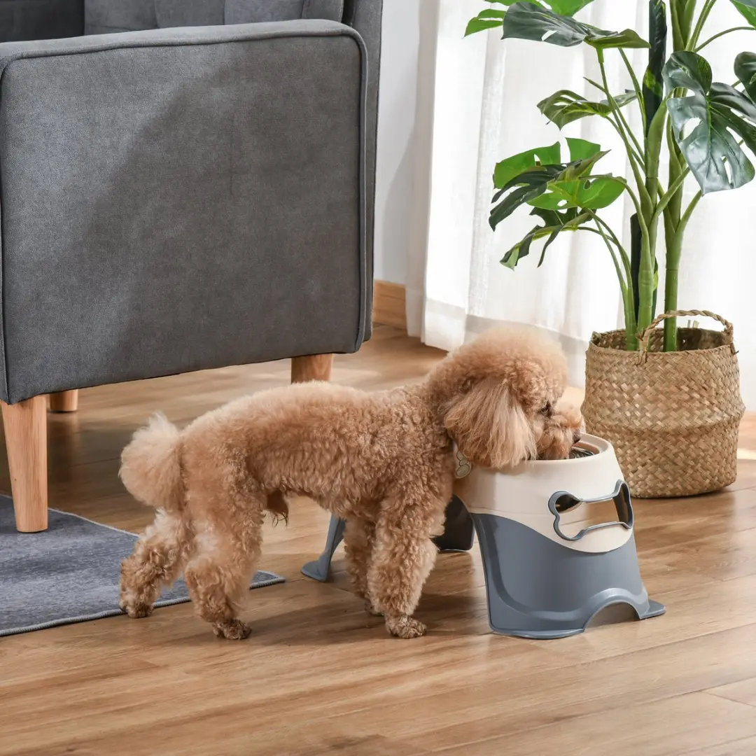 ECTEATOY Verhoogde Voerbak Hond Dubbel RVS - 47x25x20cm Wit