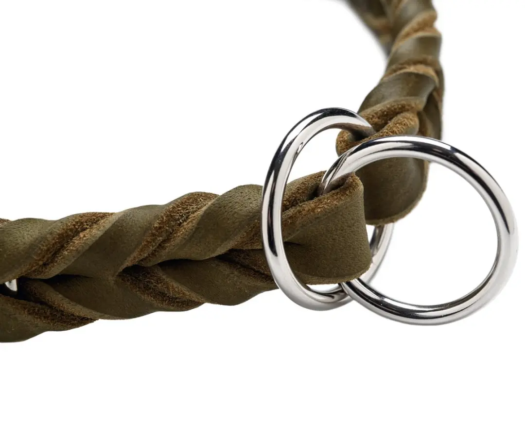 Hunter Retrieverhalsband Solid Education Olijf Maat M