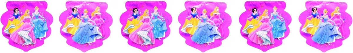 Disney Princess Hologram Vlaggenlijn
