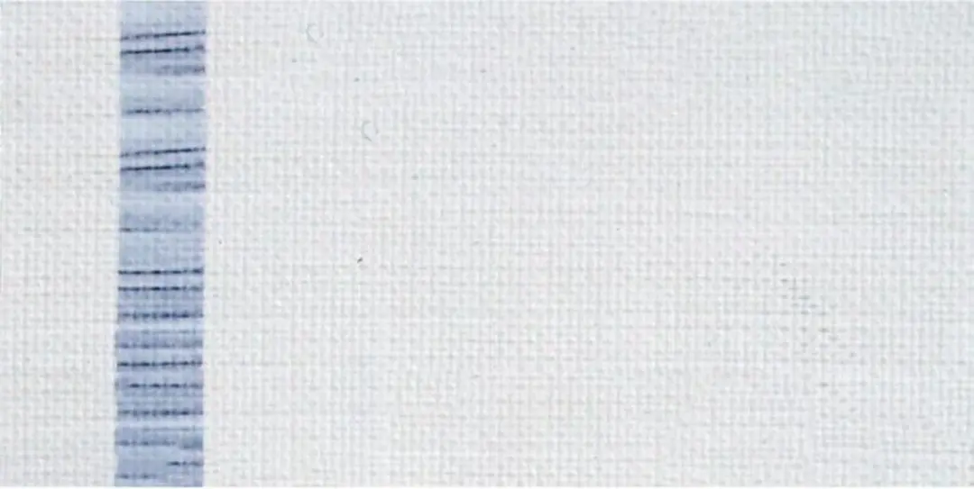 Ara Acrylverf 250ml