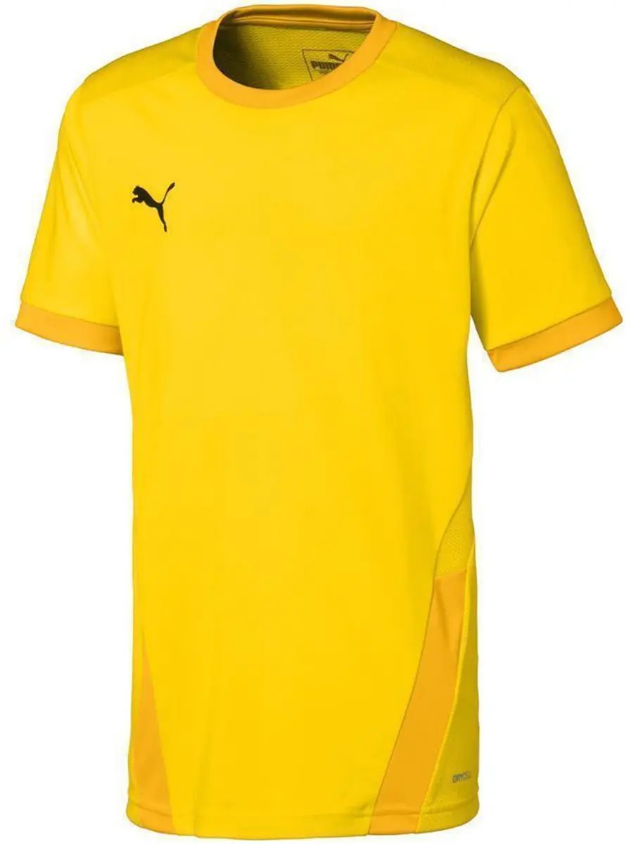 PUMA teamGOAL 23 Jersey Kinderen