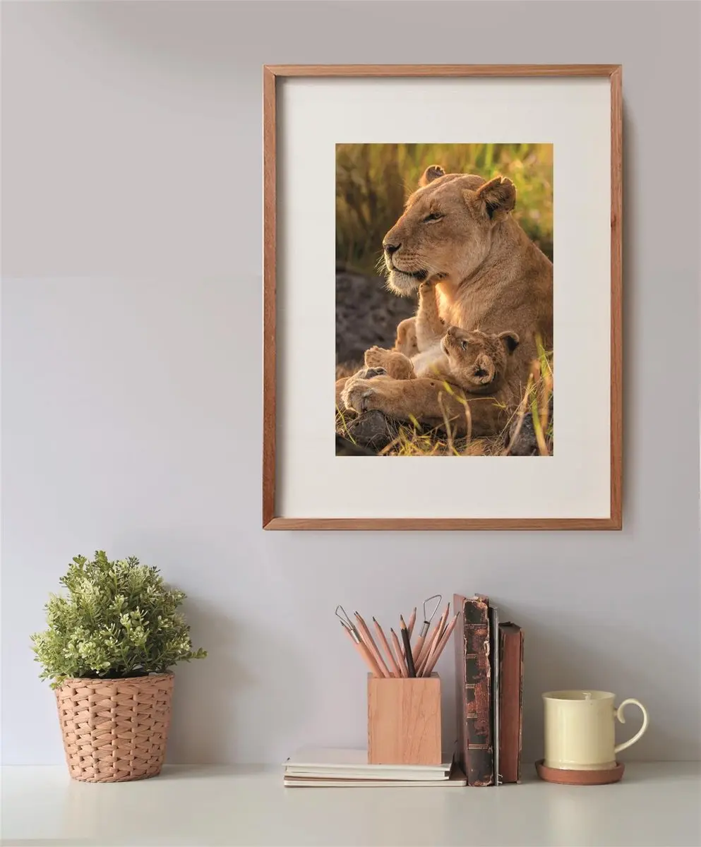 Clementoni Feline Love Legpuzzel 500 Stuks - Meerkleurig