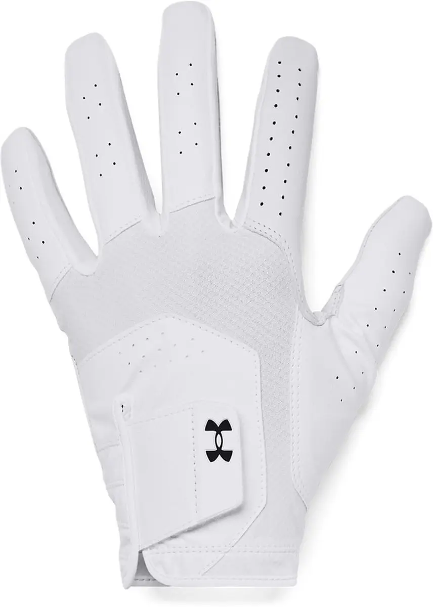 Under Armour Heren Golfhandschoen Iso Chill M