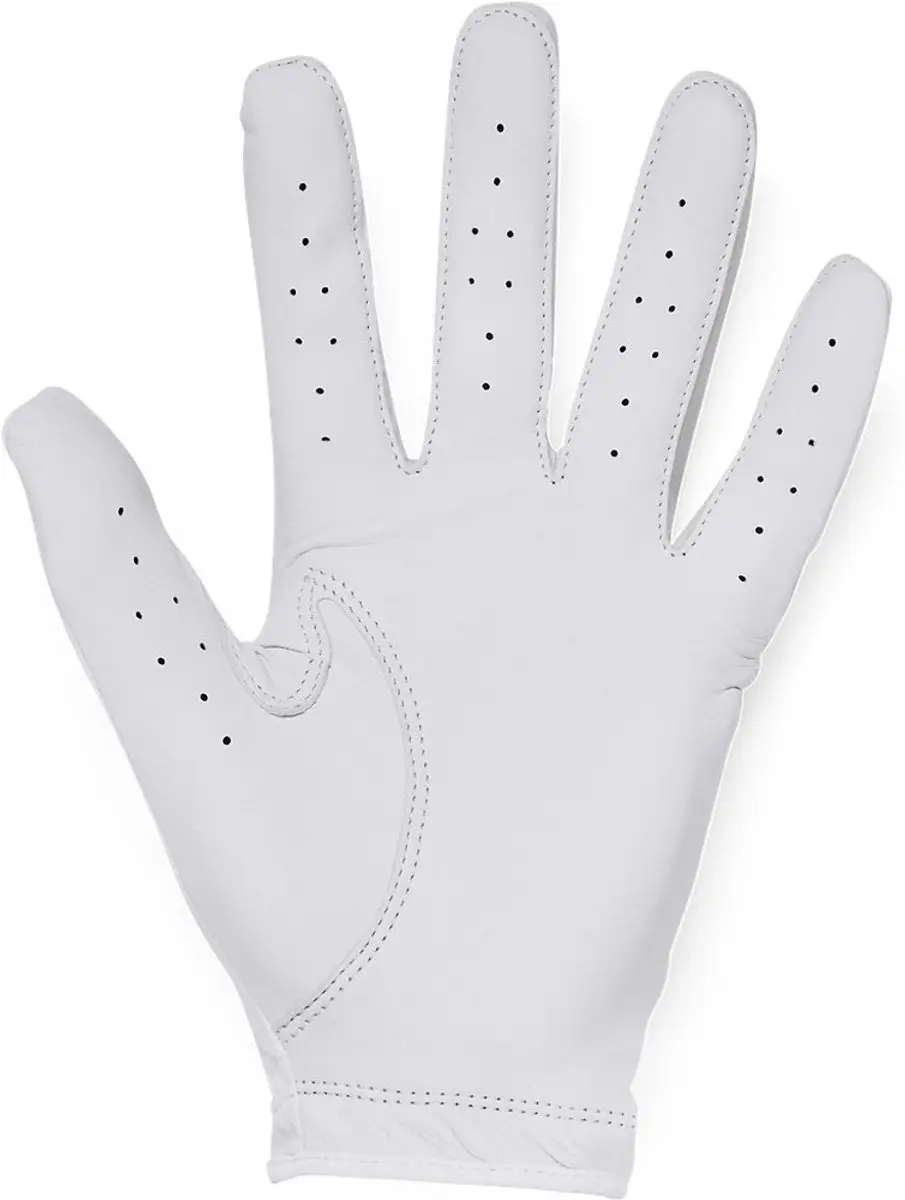 Under Armour Heren Golfhandschoen Iso Chill M - Wit