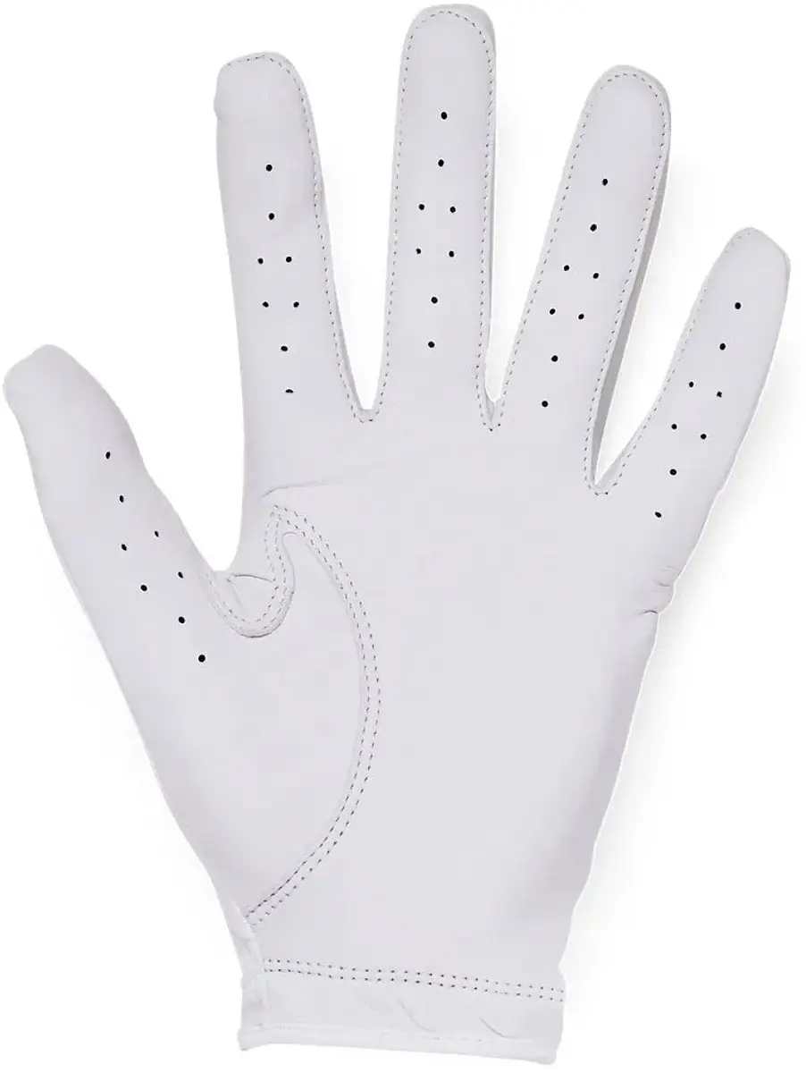 Under Armour Heren Golfhandschoen Iso Chill M - Wit