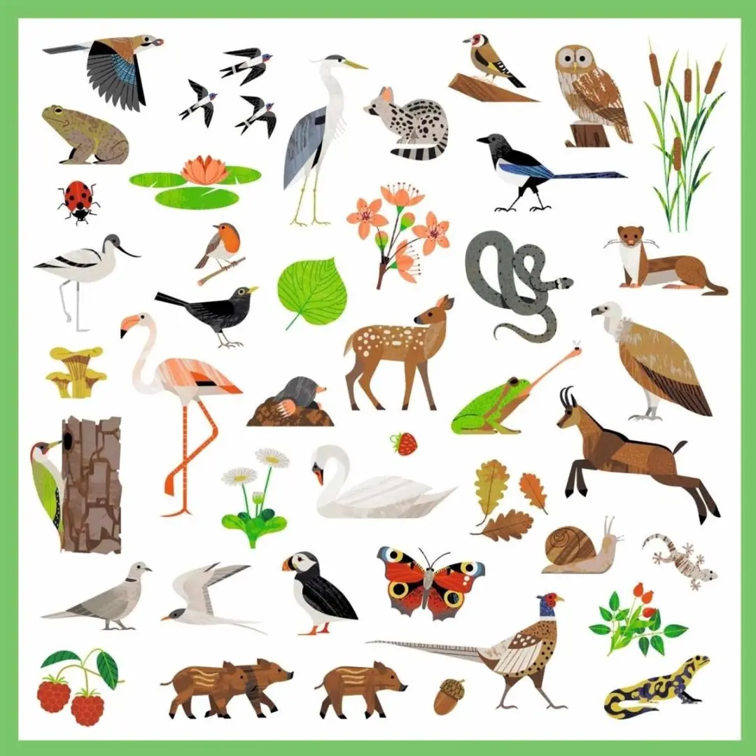 Djeco Stickers Fauna - Multicolor