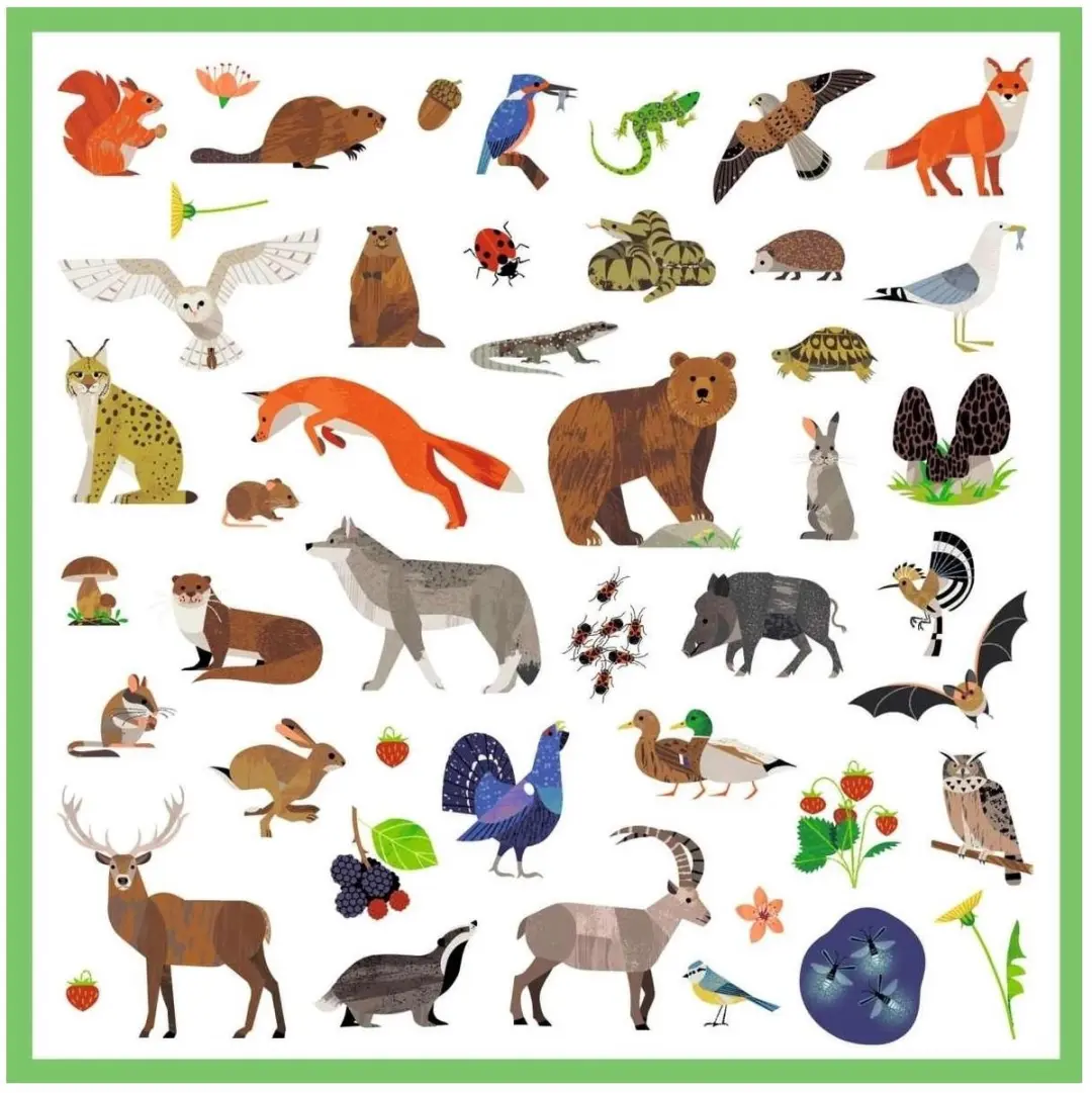 Djeco Stickers Fauna - Multicolor