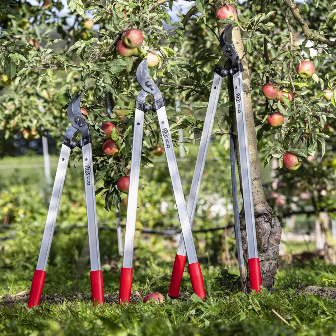 Felco 221-80 Takkenschaar - 80 cm