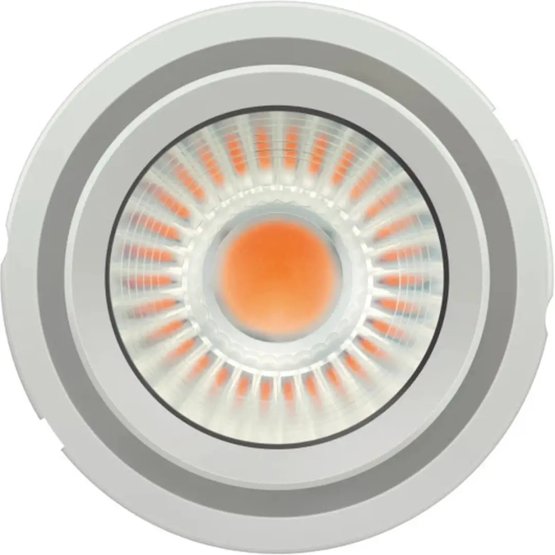Osram Prevaled LED Module