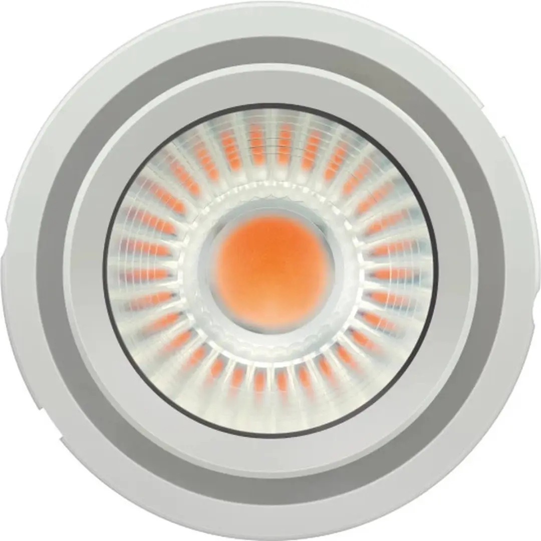 Osram Prevaled LED Module