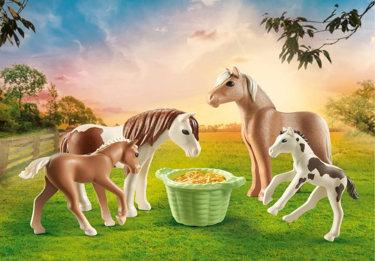 Playmobil Country IJslandse pony's met veulens 71000 - Multicolor - afbeelding 4 van 6