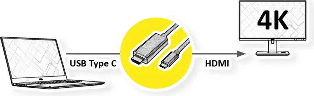 Roline USB-C naar HDMI Adapterkabel 3m - Zwart