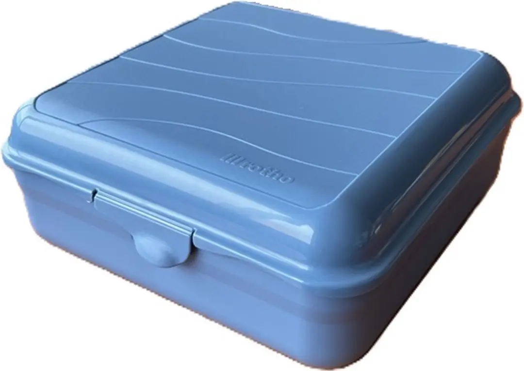Rotho Fun Lunchbox Vierkant 2.35L Horizon Blauw