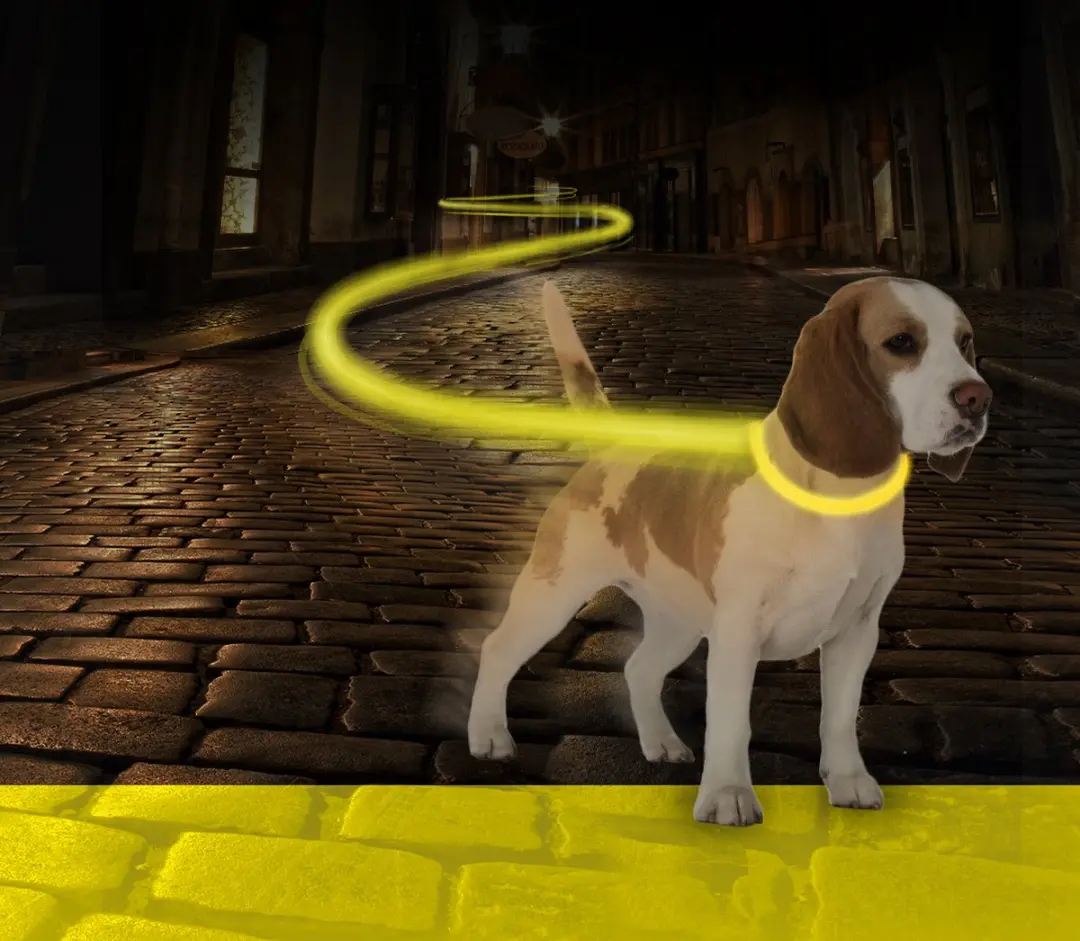 Duvo Jogging Lijn Led Licht USB