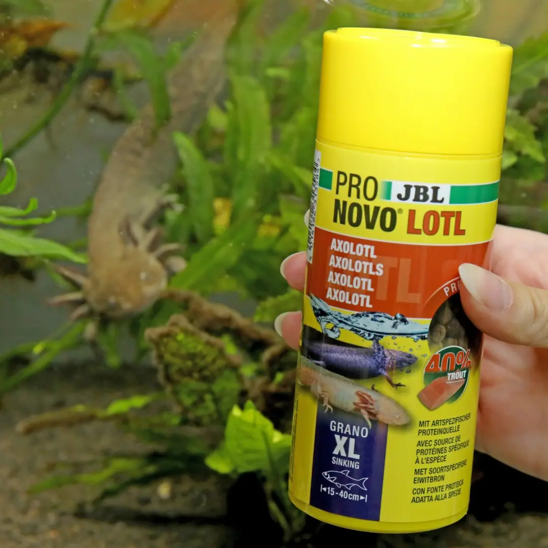JBL Pronovo Lotl XL Axolotl Voer 250ml