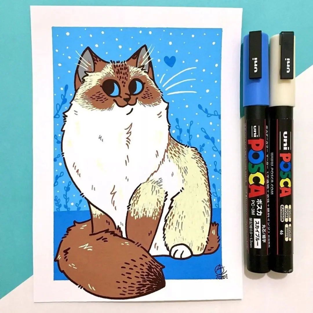 Posca PC-5M Markeerstiftenset - 13 Kleuren