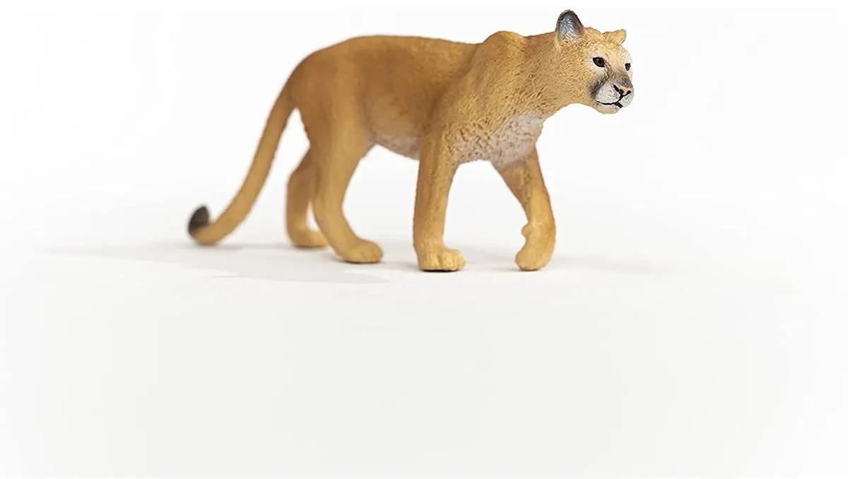 Schleich WILD LIFE Poema 14853 - Meerkleurig