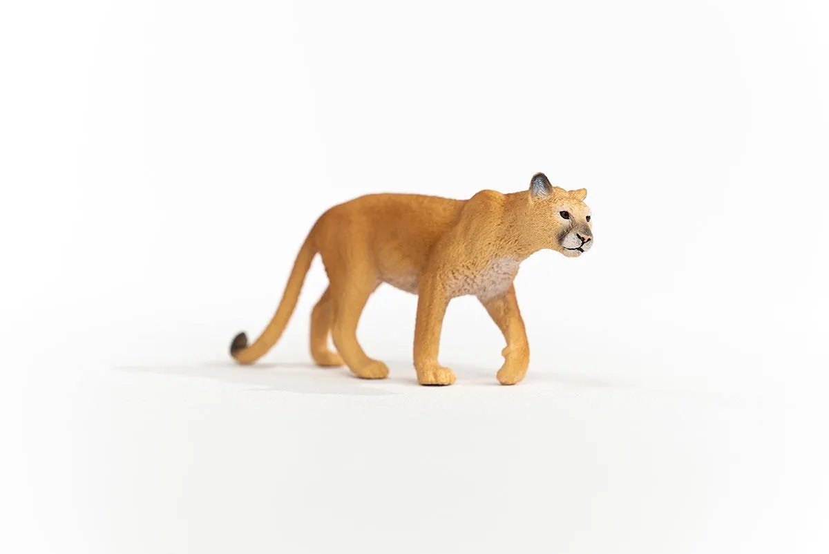 Schleich WILD LIFE Poema 14853 - Meerkleurig