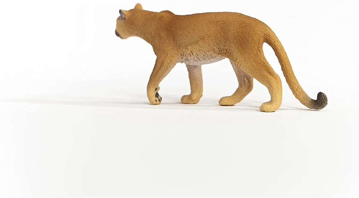 Schleich WILD LIFE Poema 14853 - Meerkleurig