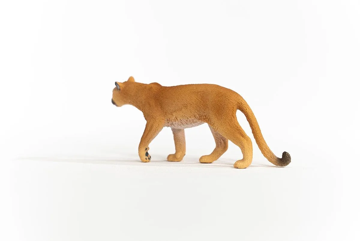 Schleich WILD LIFE Poema 14853 - Meerkleurig