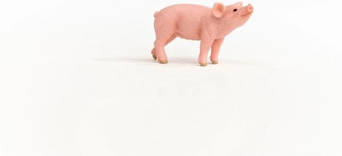 Schleich FARM WORLD Big 13934 - Roze - afbeelding 6 van 6