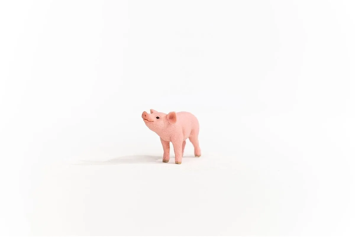 Schleich FARM WORLD Big 13934 - Roze