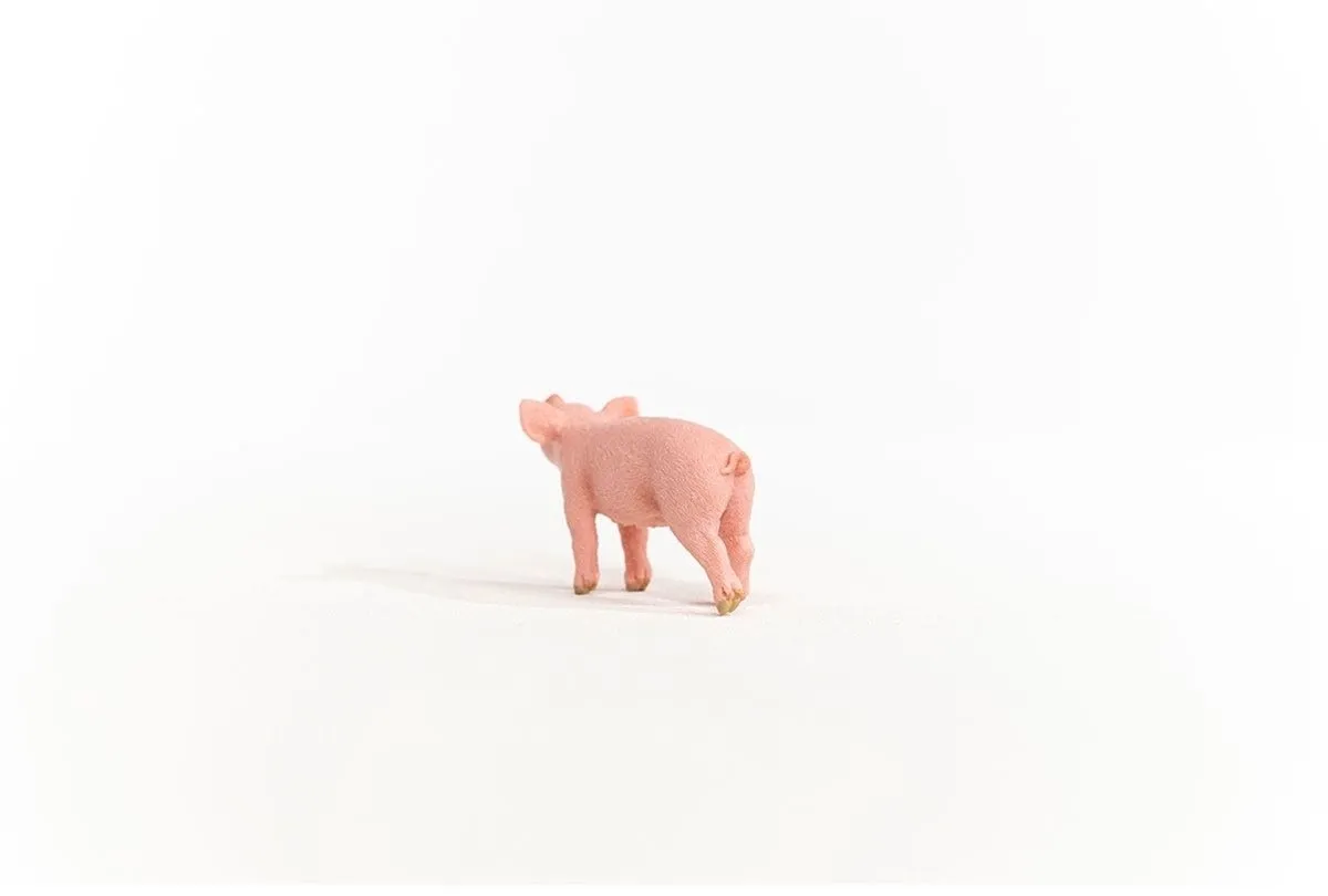 Schleich FARM WORLD Big 13934 - Roze