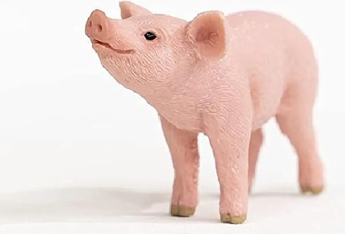 Schleich FARM WORLD Big 13934 - Roze