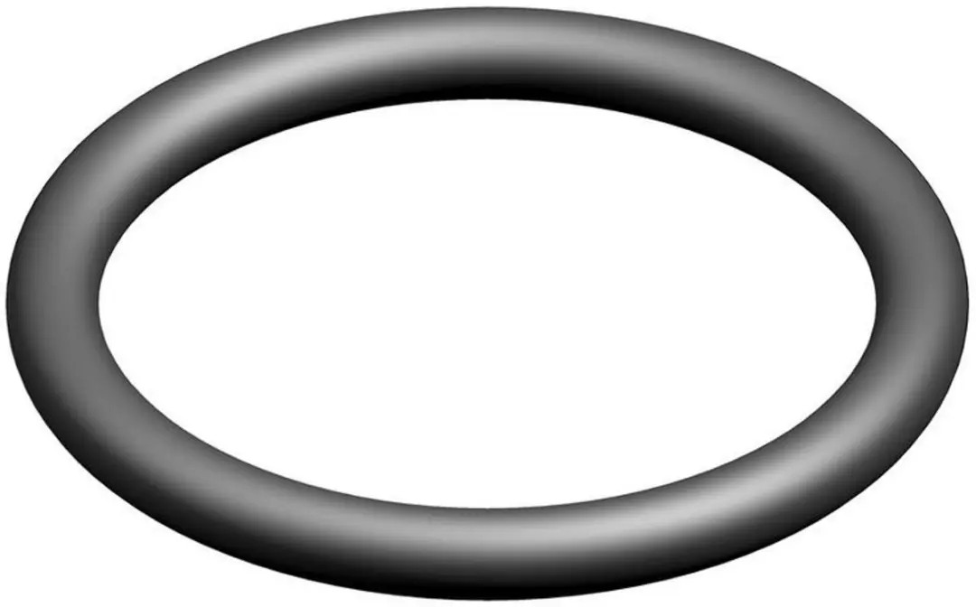 Bosch O-ring 7736700861