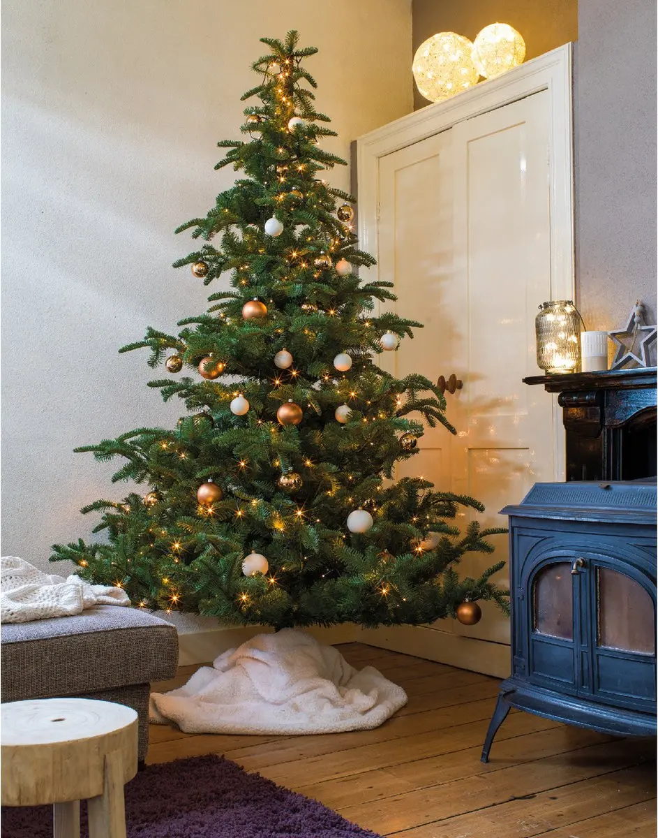 Lumineo Kerstverlichting 480 LED - Warm Wit - 36m - Zwart - Timer & Dimmer