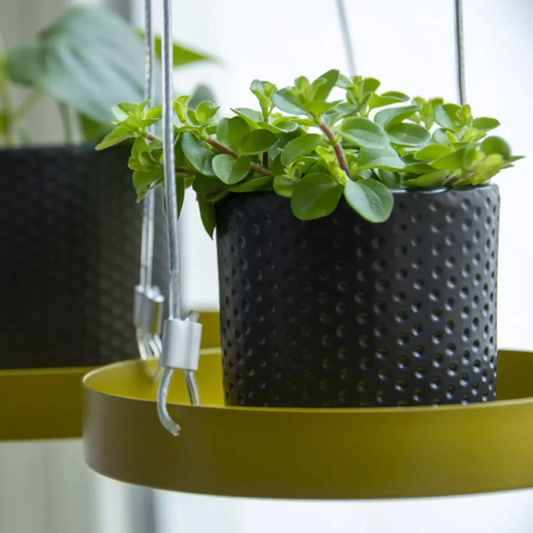 Esschert Design Plantenblad Hangend Rond S - Goud